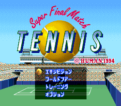 Super Final Match Tennis - SNES
