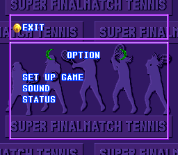 Super Final Match Tennis - SNES