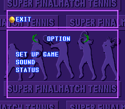 Super Final Match Tennis - SNES