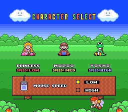 Mario & Wario - SNES