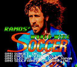 Tony Meola's Sidekicks Soccer - SNES
