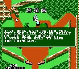 Pinball Quest - NES