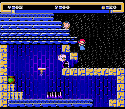 BootÃ¨e - NES