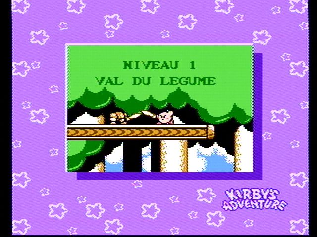 Kirby's Adventure - NES