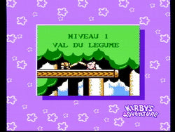 Kirby's Adventure - NES