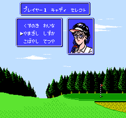 Mezase! Top Pro: Green ni Kakeru Yume - NES