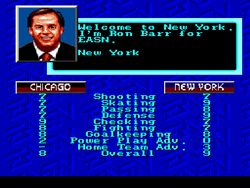 NHLPA Hockey '93 - SNES