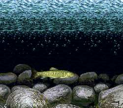 Kawa no Nushi Tsuri 2 - SNES