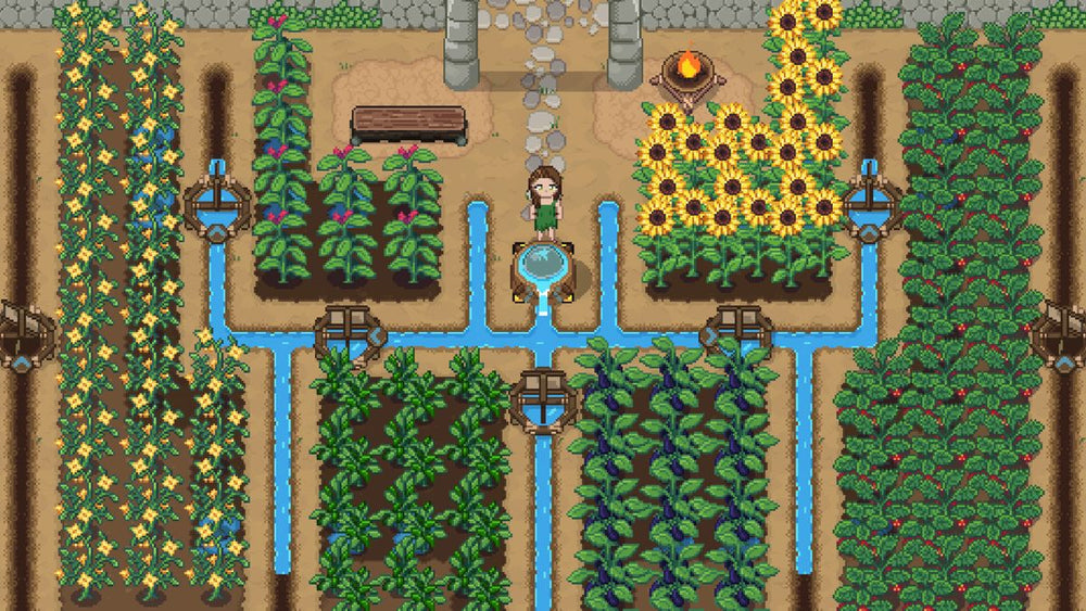 Roots of Pacha - PS5
