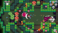 Super Dungeon Maker - Switch