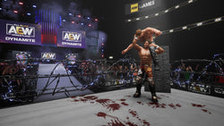 AEW: Fight Forever - PS4