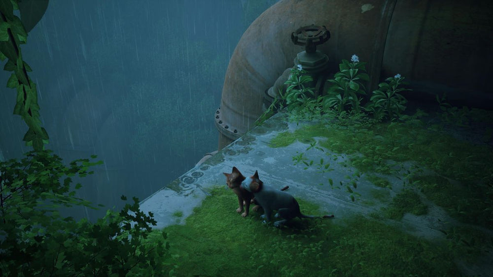 Stray - PS5