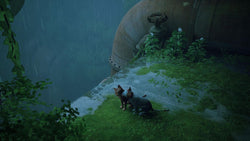 Stray - PS5