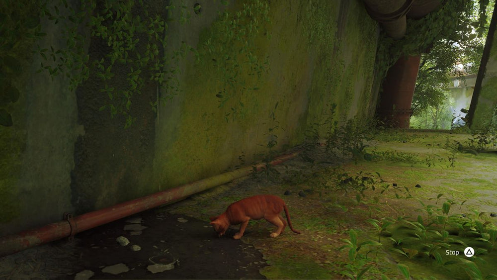 Stray - PS5