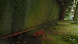 Stray - PS5