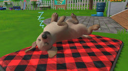 Little Friends: Puppy Island - Switch