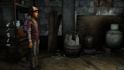 The Walking Dead Collection - XB1