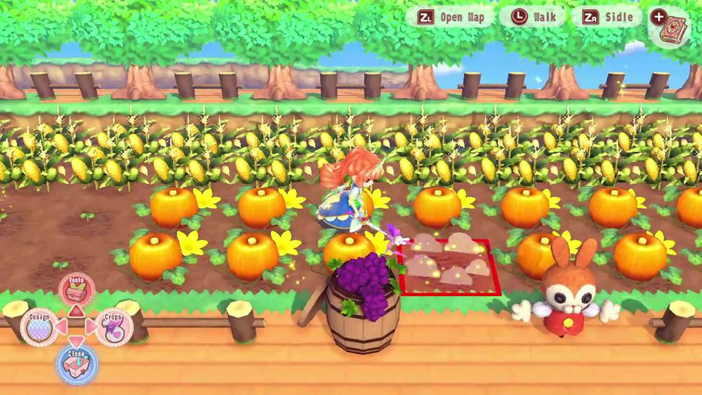 Pretty Princess Magical Garden Island - Switch