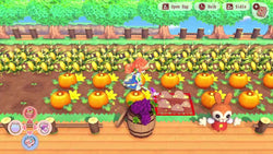 Pretty Princess Magical Garden Island - Switch