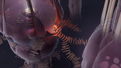 Cocoon - PS5
