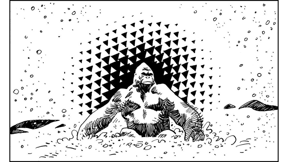 Bigfoot's Journey - PS5