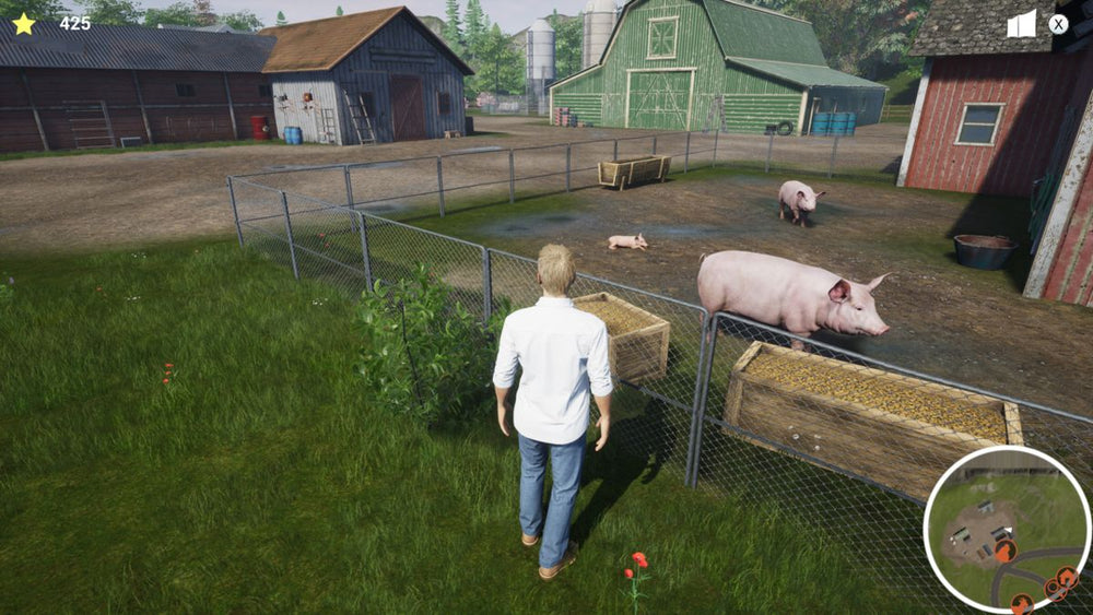 My Life: Farm Vet - PS5