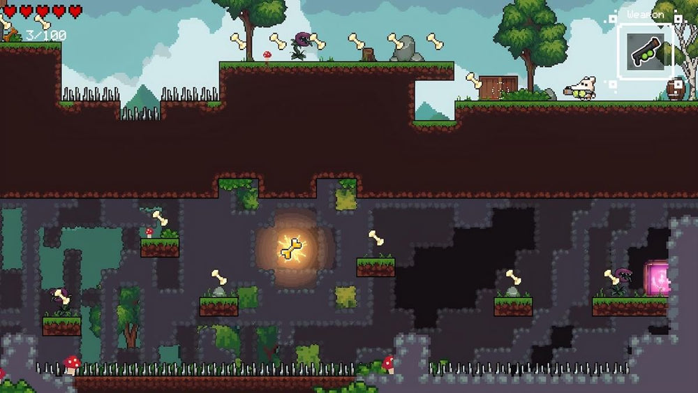 Borzoi Adventure - PS5