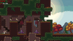 Borzoi Adventure - PS5