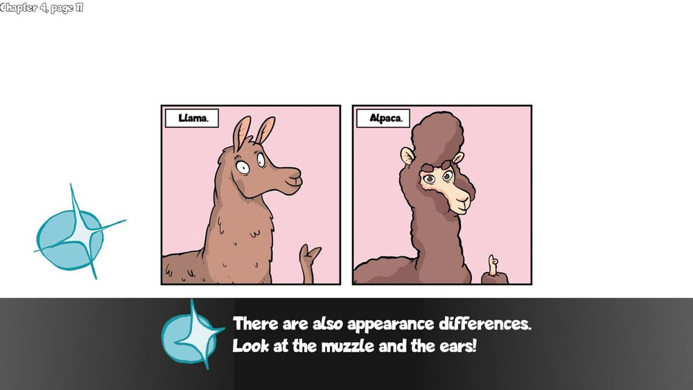 Alpaca Wonders Why - PS5