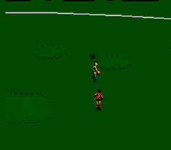 Aussie Rules Footy - NES