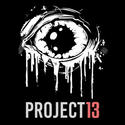Project 13 - PS5