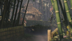 Kunitsu-Gami: Path of the Goddess - PS5