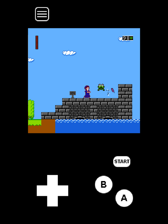 Jane Austen's 8-bit Adventure - NES