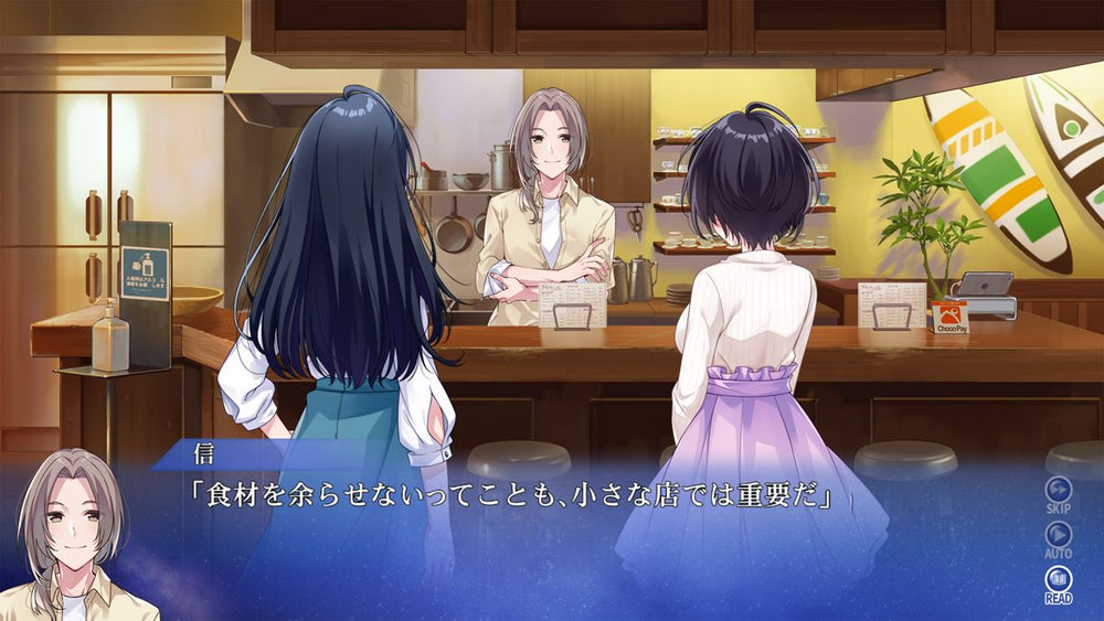 SINce Memories: Off the Starry Sky - Switch