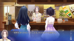 SINce Memories: Off the Starry Sky - Switch