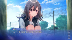 SINce Memories: Off the Starry Sky - Switch