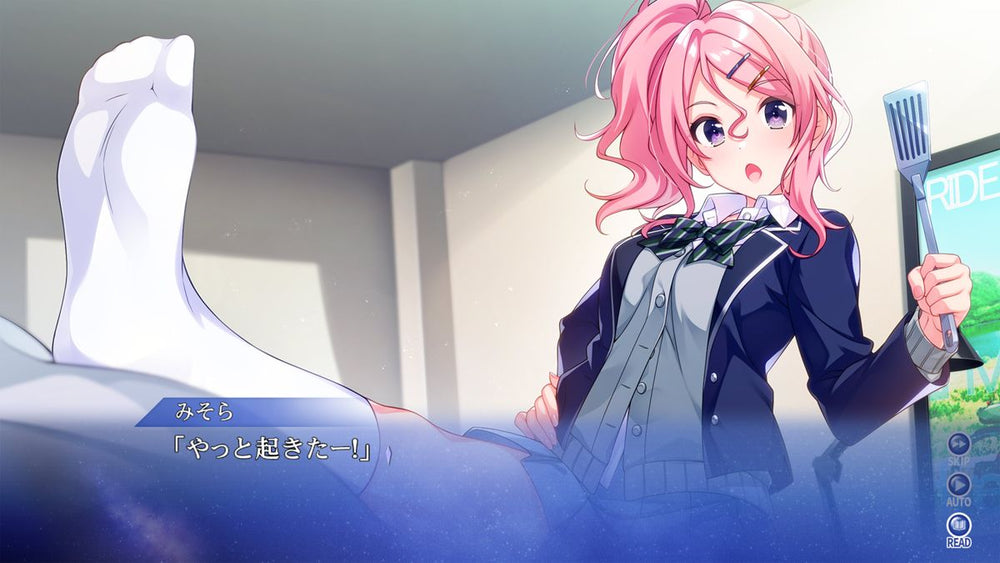 SINce Memories: Off the Starry Sky - Switch