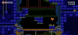 Tiny Barbarian DX - Switch