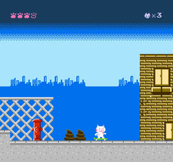 SkateCat - NES
