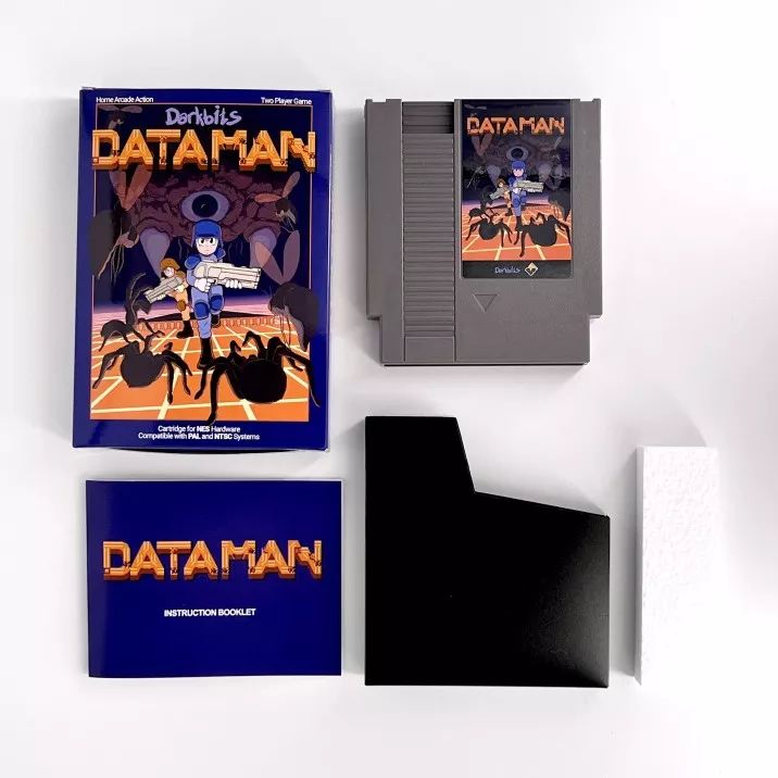 Data Man - NES