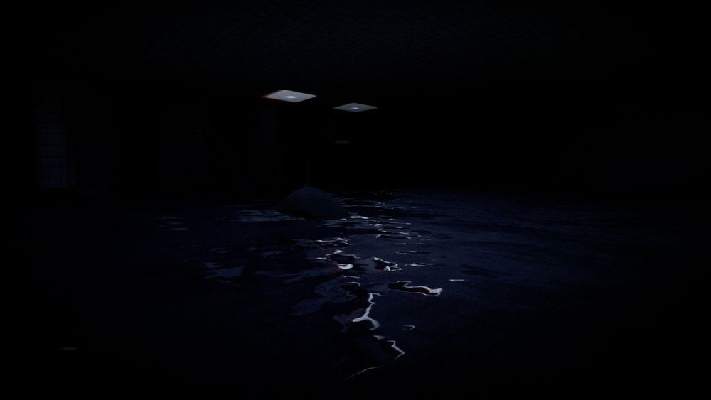Tralalero Tralala Backrooms Pools - PS5