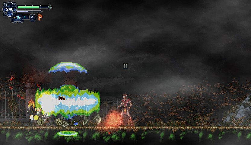 Chronicles of the Wolf - Switch