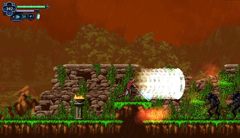 Chronicles of the Wolf - Switch