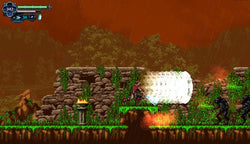 Chronicles of the Wolf - Switch