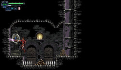 Chronicles of the Wolf - Switch