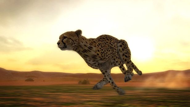 Afrika - PS3