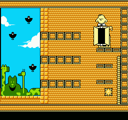 The New Zealand Story - NES