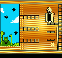 The New Zealand Story - NES