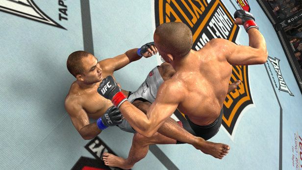 UFC 2009 Undisputed - PS3