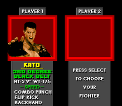 Pit-Fighter - SNES